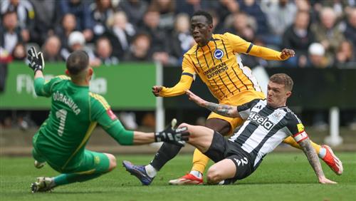 Understanding Betting Links: Essential Guide